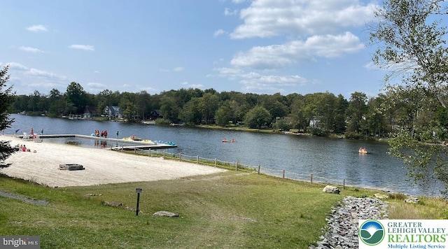 view of water feature with a view of trees and a boat dock