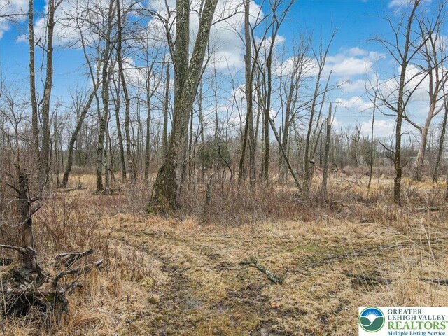 3421 Old Bethlehem Pike, Springfield Twp, PA 18036 - view of undeveloped land
