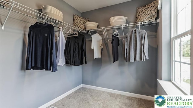 1205 Susan Cir, Upper Macungie Twp, PA 18031 - spacious closet featuring carpet