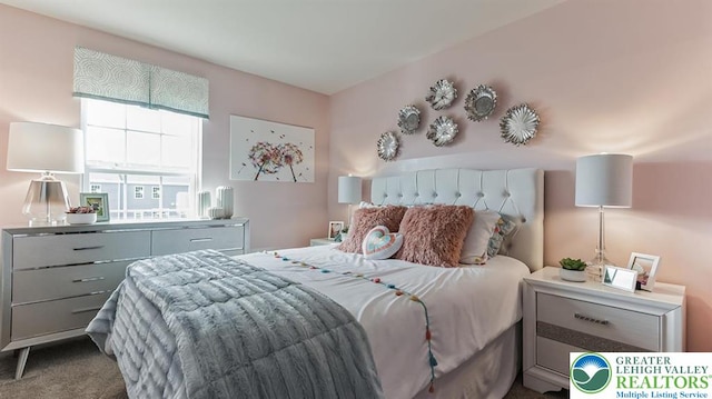 1205 Susan Cir, Upper Macungie Twp, PA 18031 - view of carpeted bedroom