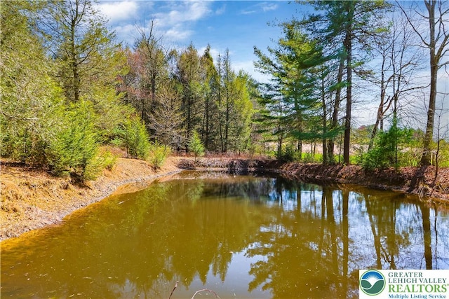376 Hty Rd, Polk Twp, PA 18058 - water view