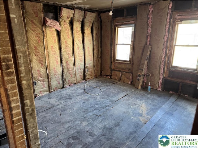 miscellaneous room featuring a wealth of natural light