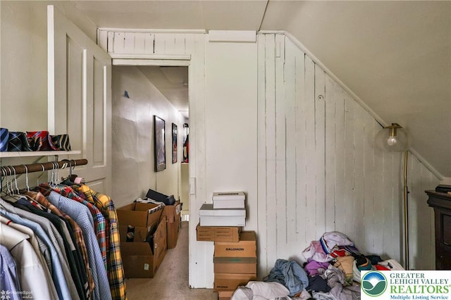 walk in closet featuring carpet floors