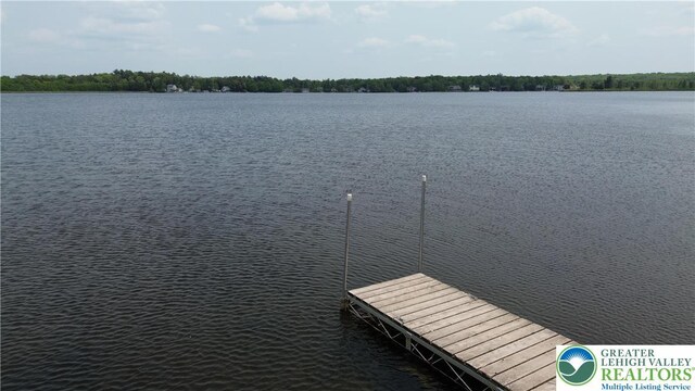115 Lucretius Trl, Penn Forest Twp, PA 18210 - photo 33