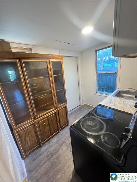 kitchen featuring a sink, black / electric stove, and light wood-style flooring