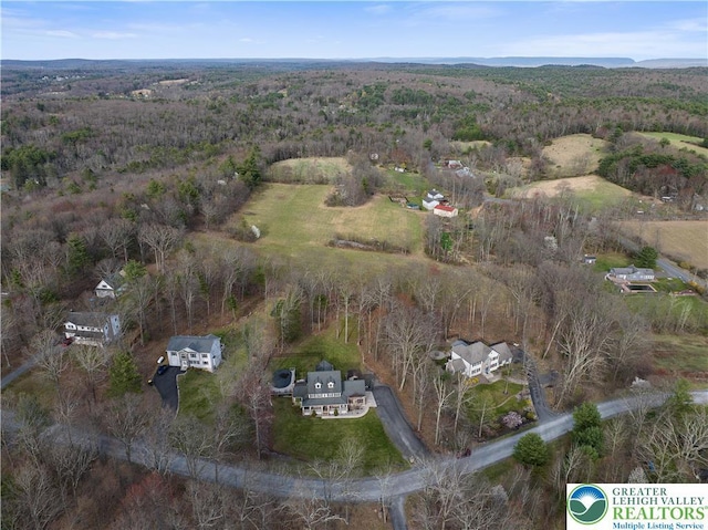 118 Hollow Dr, Stroudsburg, PA 18360 - photo 60