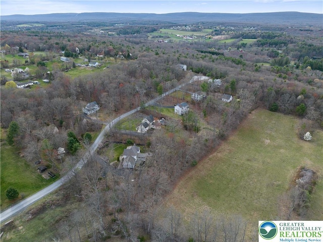 118 Hollow Dr, Stroudsburg, PA 18360 - photo 62