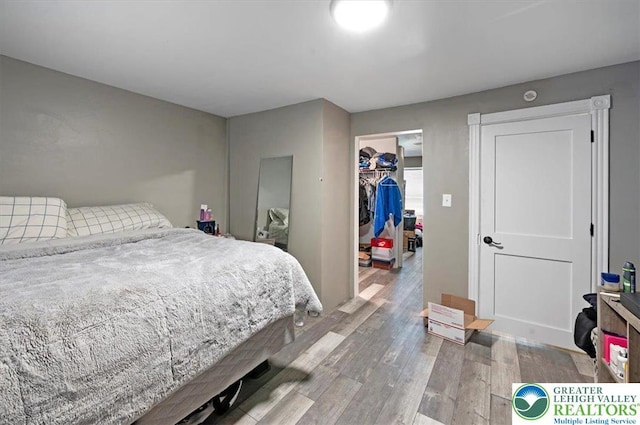 bedroom with wood finished floors, a spacious closet, and a closet