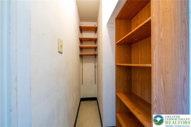 view of walk in closet