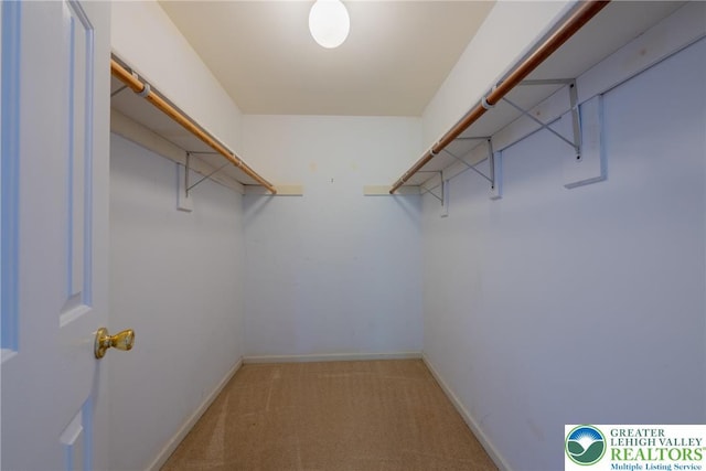 spacious closet with carpet