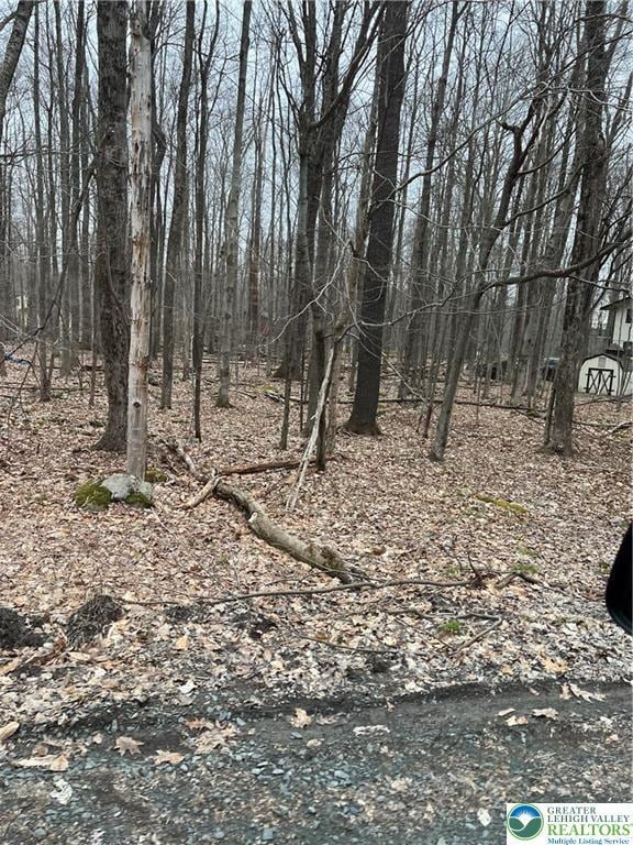1009 Maple Dr, Tobyhanna Twp, PA 18347 - view of nature