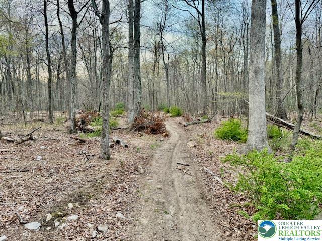 9170 N Loop Rd, Washington Twp, PA 18080 - exterior space featuring a view of trees