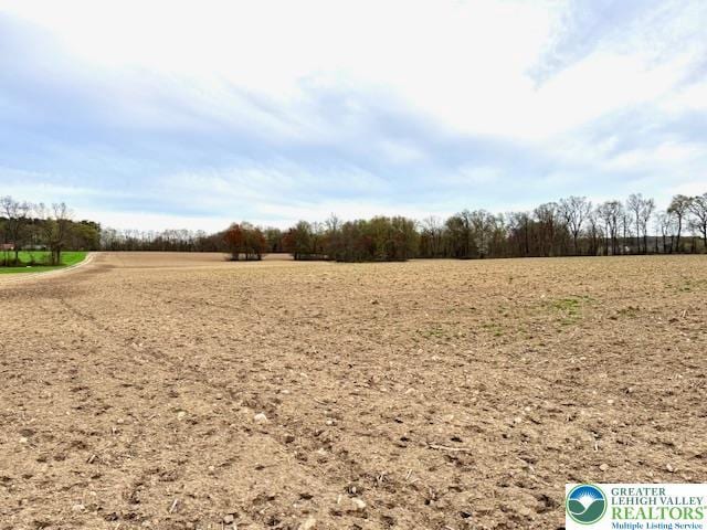 9170 N Loop Rd, Washington Twp, PA 18080 - view of nature
