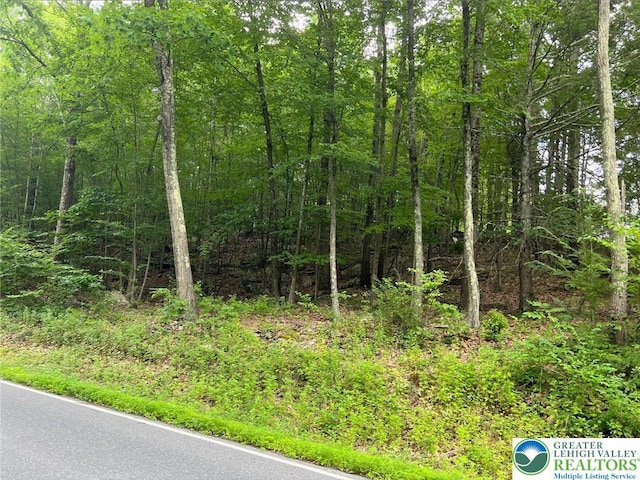 31 Faber Cir, Pocono Twp, PA 18372 - photo 1
