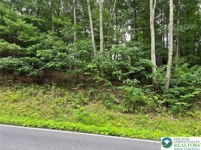 31 Faber Cir, Pocono Twp, PA 18372 - photo 2