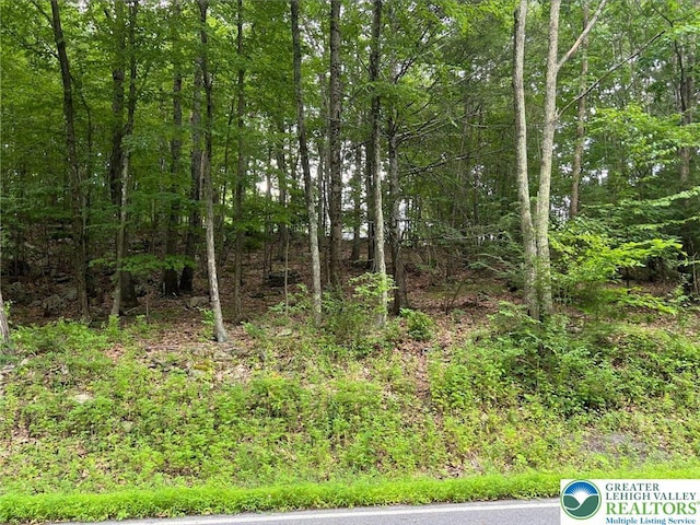 31 Faber Cir, Pocono Twp, PA 18372 - photo 7