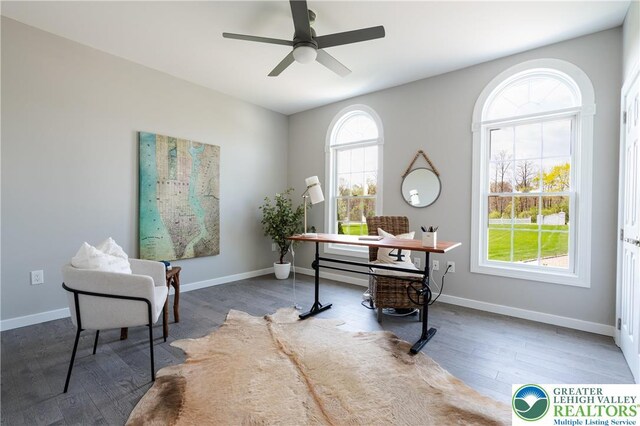 901 Meyer Rd, Bushkill Twp, PA 18064 - office space with a ceiling fan, wood finished floors, and baseboards
