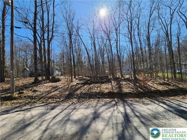 284 Delaware Trl, Tobyhanna Twp, PA 18347 - view of yard