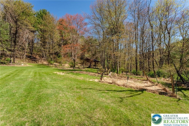 view of yard featuring a forest view
