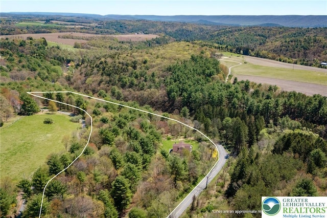 birds eye view of property with a forest view and a mountain view