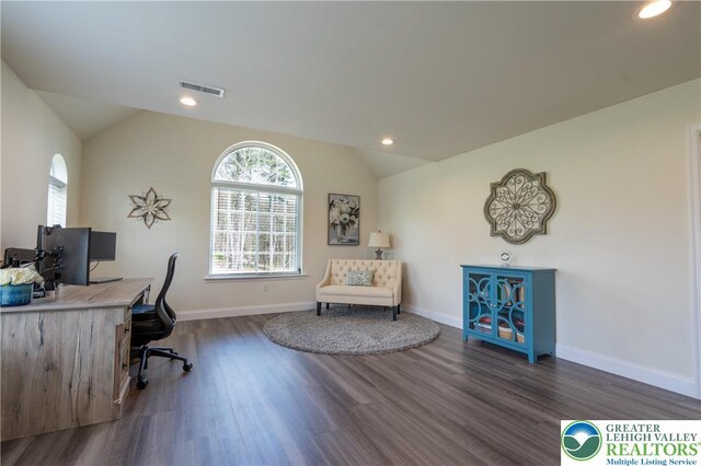 131 Chinaberry Way, Polk Twp, PA 18058 - office space featuring vaulted ceiling, a wealth of natural light, and dark wood-type flooring