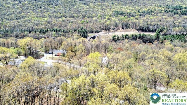 91 Alpine Dr, Jim Thorpe Boro, PA 18229 - bird's eye view of a forest