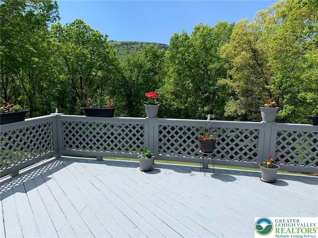 91 Alpine Dr, Jim Thorpe Boro, PA 18229 - view of deck