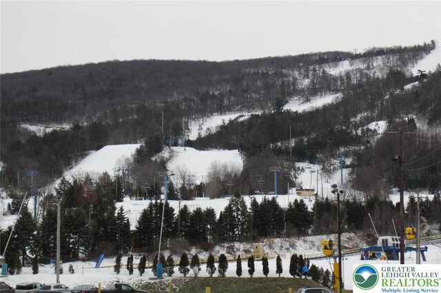 91 Alpine Dr, Jim Thorpe Boro, PA 18229 - view of snowy aerial view