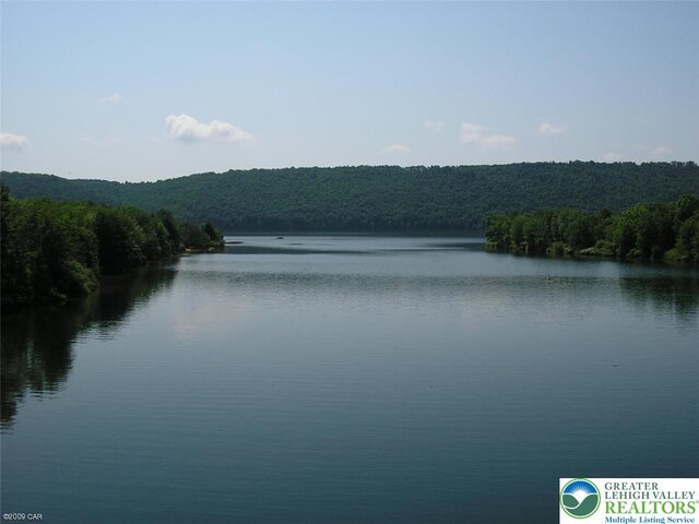 91 Alpine Dr, Jim Thorpe Boro, PA 18229 - water view with a heavily wooded area