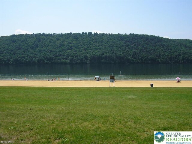 91 Alpine Dr, Jim Thorpe Boro, PA 18229 - view of property's community featuring a wooded view, a water view, and a lawn