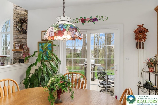 dining room featuring a healthy amount of sunlight