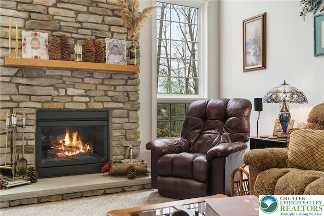 living area featuring a stone fireplace