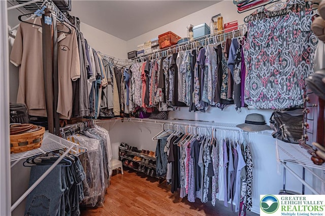 spacious closet featuring wood finished floors