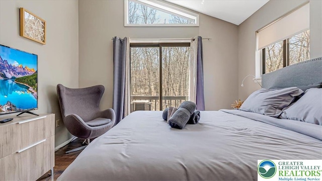 bedroom featuring baseboards, multiple windows, lofted ceiling, and dark wood-type flooring