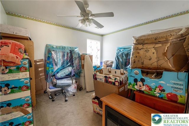 storage featuring ceiling fan