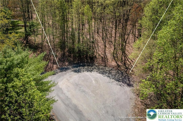 bird's eye view featuring a view of trees
