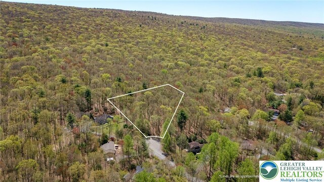 drone / aerial view with a forest view