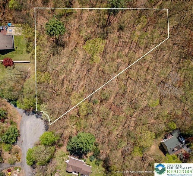 drone / aerial view