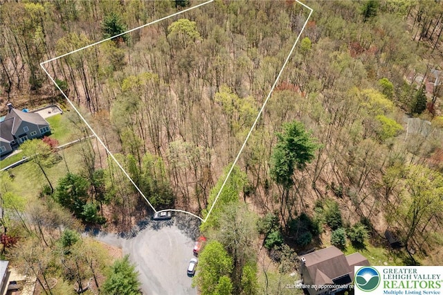 aerial view with a forest view