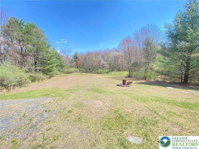 178 Stoney Ledge Dr, Jackson Twp, PA 18360 - view of yard featuring a forest view