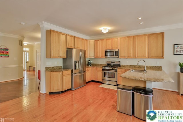 kitchen featuring a sink, a peninsula, ornamental molding, and appliances with stainless steel finishes