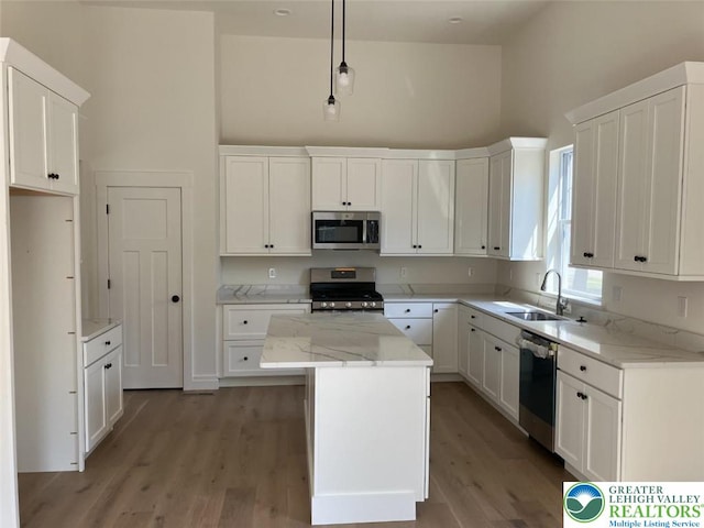 kitchen with a sink, appliances with stainless steel finishes, light wood finished floors, and a towering ceiling