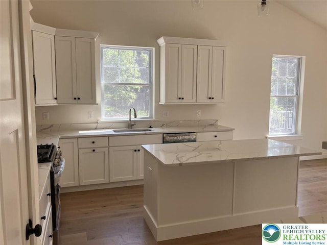 kitchen featuring appliances with stainless steel finishes, light stone counters, a sink, light wood finished floors, and white cabinetry