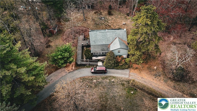 bird's eye view