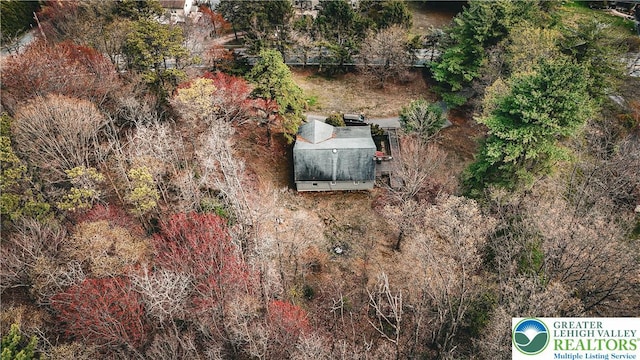 drone / aerial view