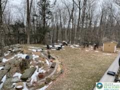 view of yard with a storage shed, a view of trees, and an outdoor structure