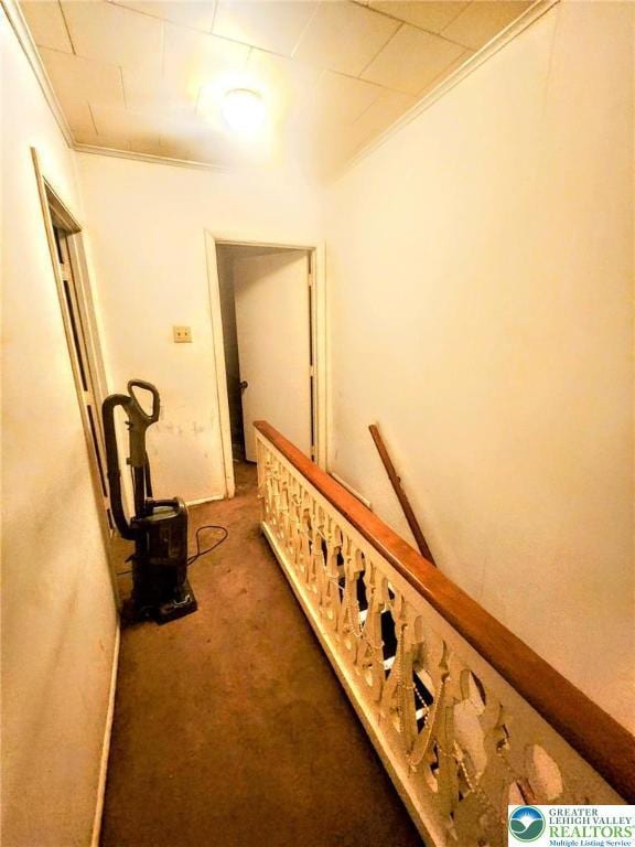 corridor with crown molding, carpet flooring, and attic access
