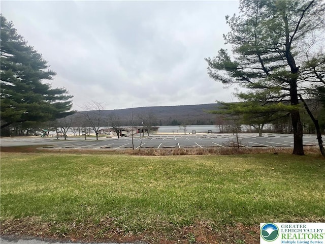 8204 Brown St, Washington Twp, PA 18079 - water view