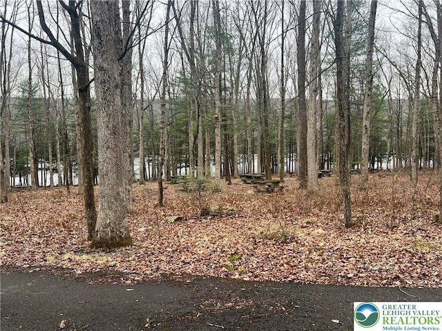 8204 Brown St, Washington Twp, PA 18079 - view of yard