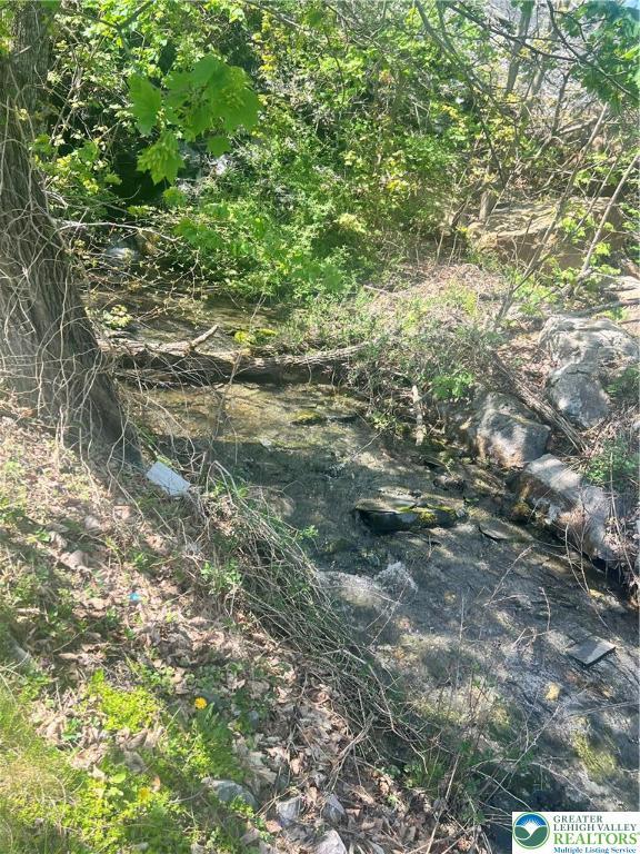 8204 Brown St, Washington Twp, PA 18079 - view of local wilderness